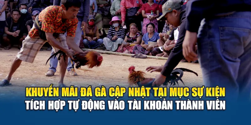 Đá Gà Thomo – Trải Nghiệm Đỉnh Cao Tại W88 Hôm Nay 3 Khuyến mãi đá gà cập nhật tại mục sự kiện – tích hợp tự động vào tài khoản thành viên