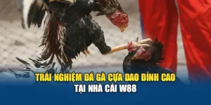 Trải Nghiệm Đá Gà Cựa Dao Đỉnh Cao Tại Nhà Cái W88